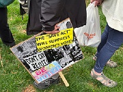 IMG_9225
